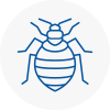 Bed Bug Extermination In Newark On Trent