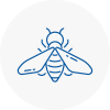 Bee Nest Removal Newark On Trent