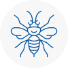 Newark On Trent Hornet Nest Removals