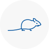 Mice Exterminators In Newark On Trent