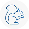 Newark On Trent Rodent Removals