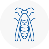 Newark On Trent Wasp Nest Removal